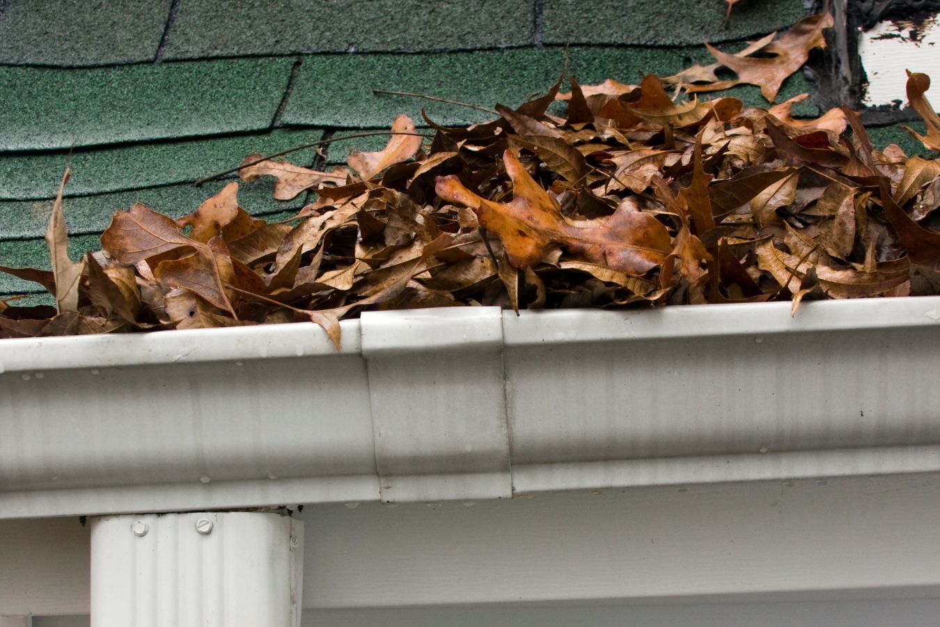 Gutter guard services